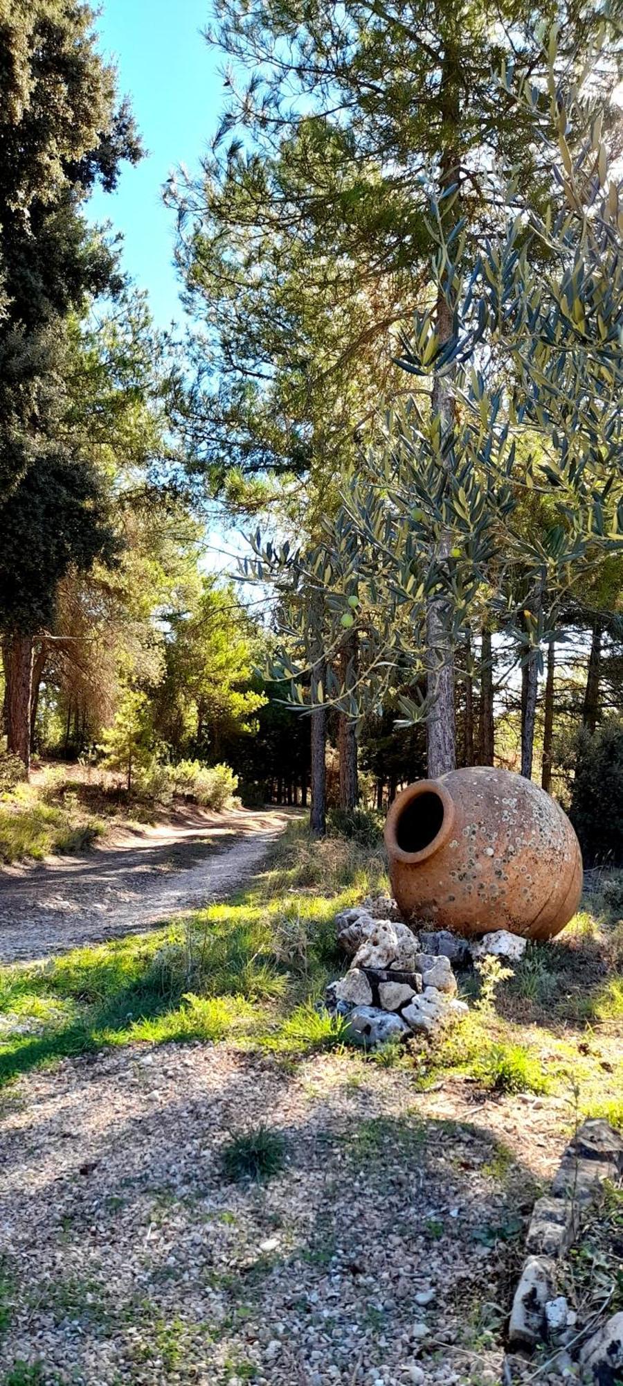 Villa Sanz Cuenca  Exterior foto
